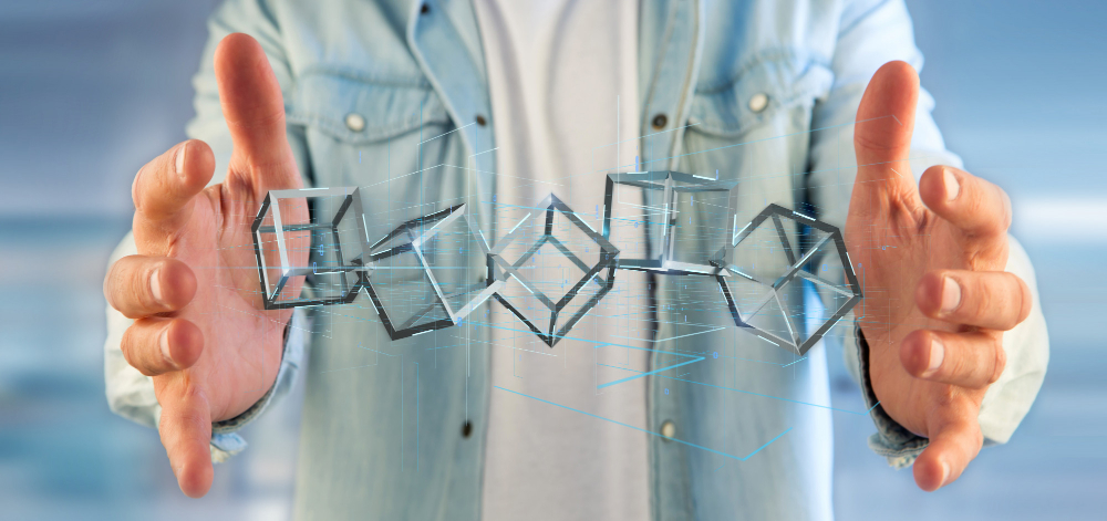 What the Partner Contributes & Retains – Alignment Without Eroding Sovereignty